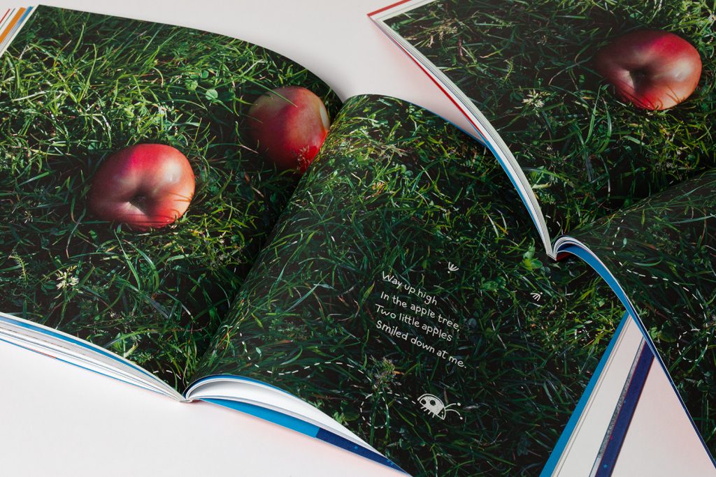 Stella-es-az-evszakok_6_1500-1024x683